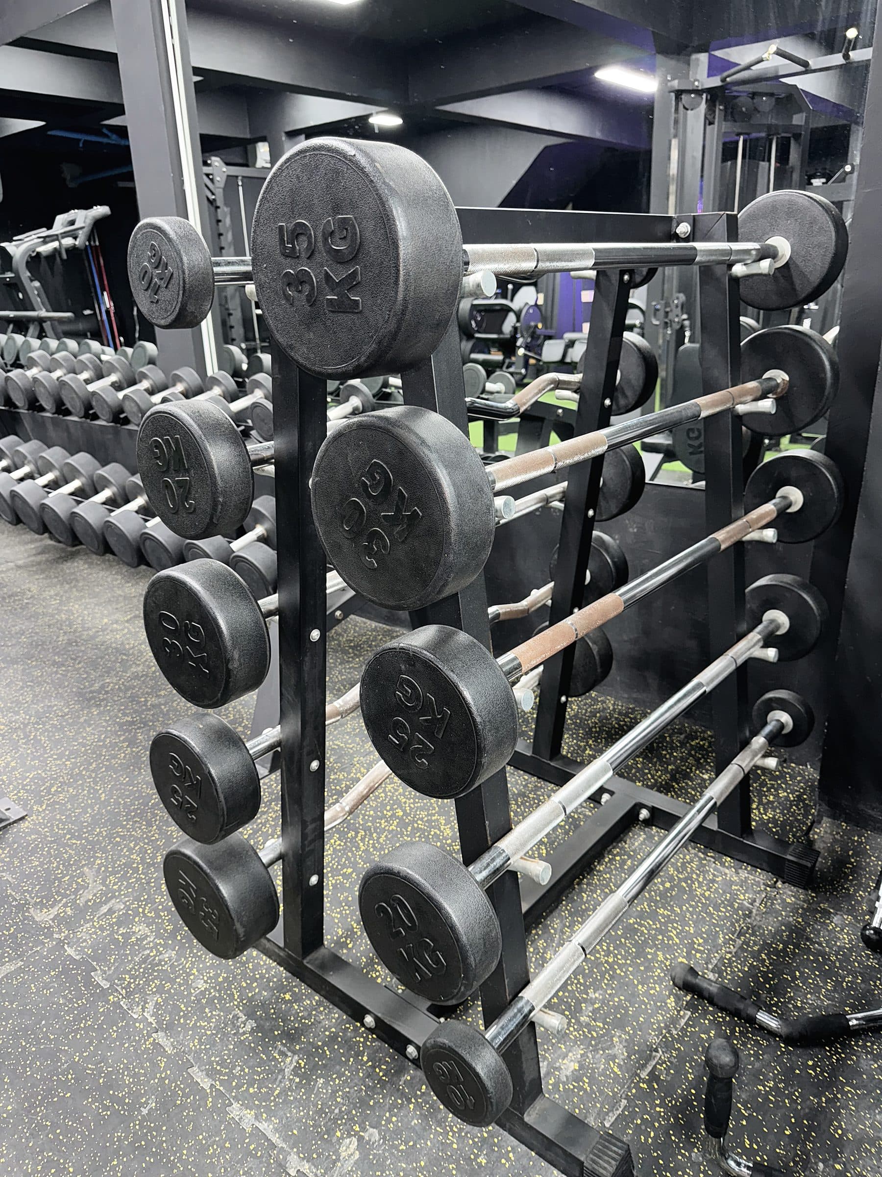 Rack of fixed barbells
